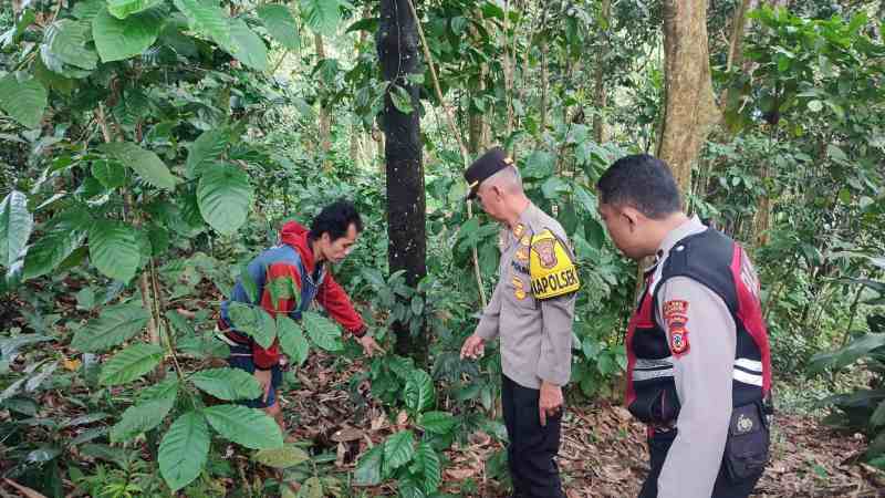 Tersembunyi di Rumpun Bambu – Bayi Baru Lahir Terbungkus Plastik Ditemukan Hidup di Parungkuda
